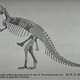 Illustration for article titled On the proper use of iT. rex/i